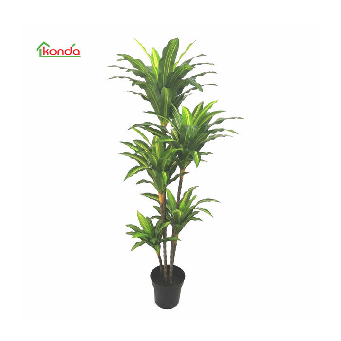 C PIANTA DRACENA ARTIFICIALE 170 CM- 2,0 pz