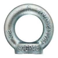 GOLFARI FEMMINA DIN 582 MA 20 ZINCATI- 5,0 pz