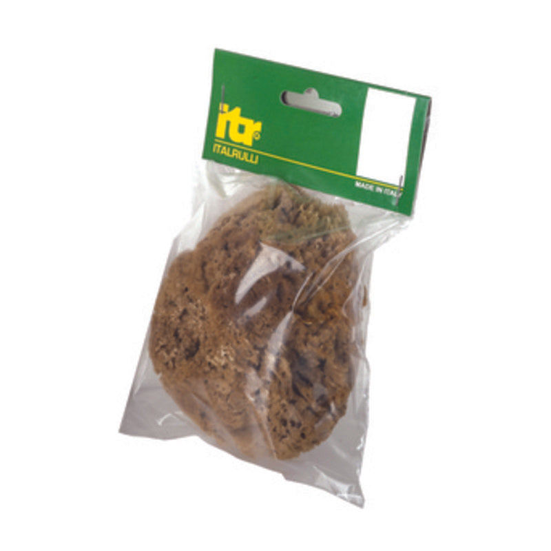 SPUGNA MARINA NATURALE 14 CM PER PITTURE   SM- ITALRULLI- 1,0 pz