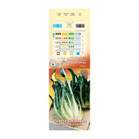 SEMI ORTO CICORIA PUNTARELLE- 10,0 pz