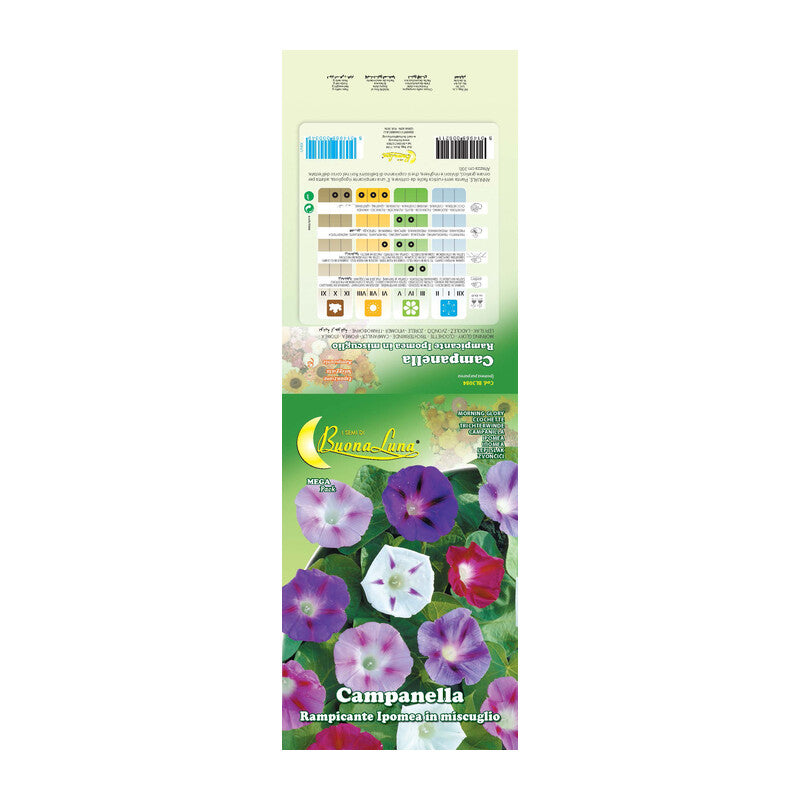 SEMI GARDEN CAMPANELLA- 10,0 pz