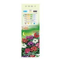 SEMI GARDEN VERBENA HYBRIDA- 10,0 pz
