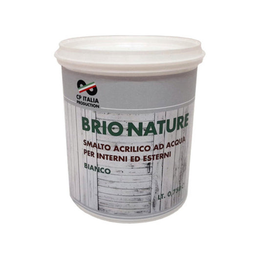 SMALTO ALLACQUA BRIO NATURE BIANCO SAT 0,750- 6,0 pz