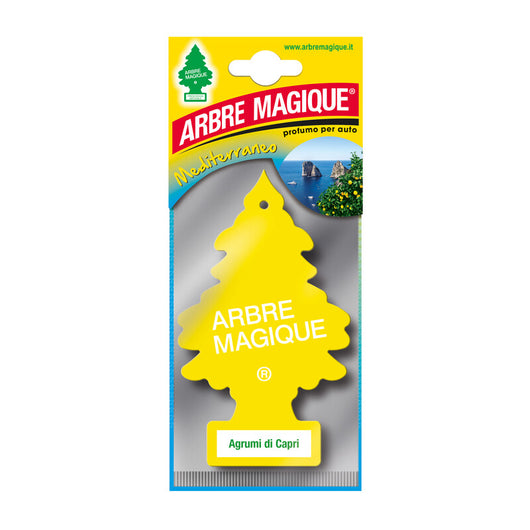 ARBRE MAGIQUE MEDITERRANEO CAPRI- 24,0 pz