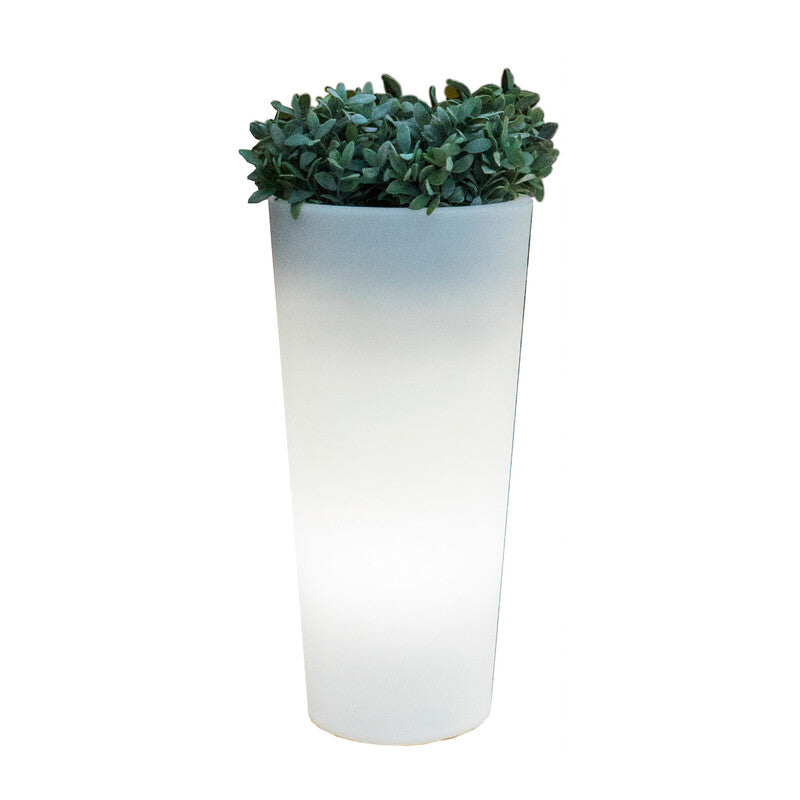 VASO SOLARE FICUS LED D 29XH59 CM RGB C/TELECOM- 1,0 pz