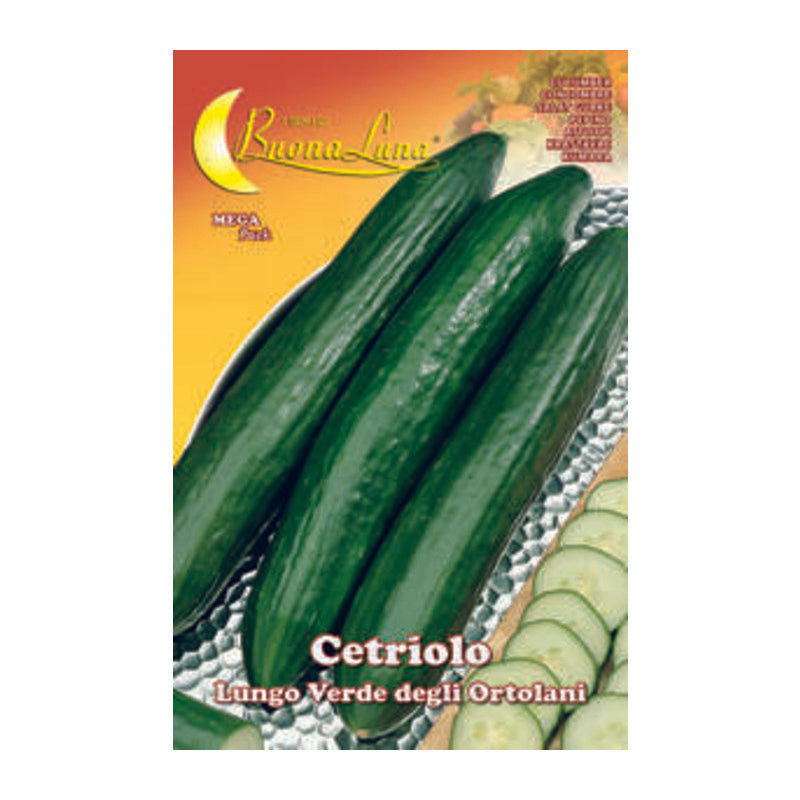 SEMI ORTO CETRIOLO VERDE- HORTUS SEMENTI- 10,0 pz