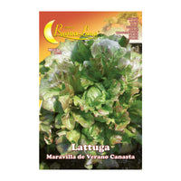 SEMI ORTO LATTUGA CANASTA- HORTUS SEMENTI- 10,0 pz