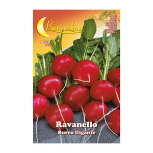 SEMI ORTO RAVANELLO GIGANTE- HORTUS SEMENTI- 10,0 pz