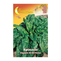 SEMI ORTO SPINACI GIGANTI- HORTUS SEMENTI- 10,0 pz