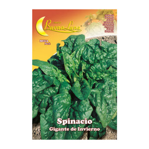 SEMI ORTO SPINACI GIGANTI- HORTUS SEMENTI- 10,0 pz