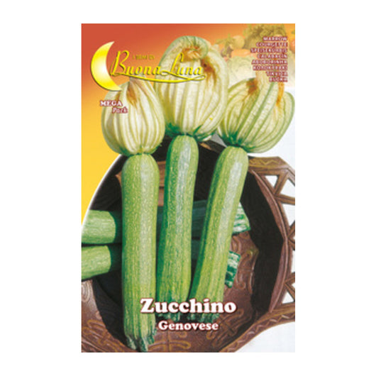 SEMI ORTO ZUCCHINO GENOVESE- HORTUS SEMENTI- 10,0 pz