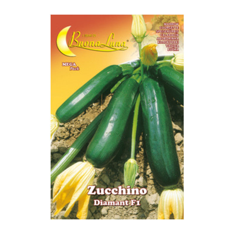 SEMI ORTO ZUCCHINO DIAMANT- HORTUS SEMENTI- 10,0 pz