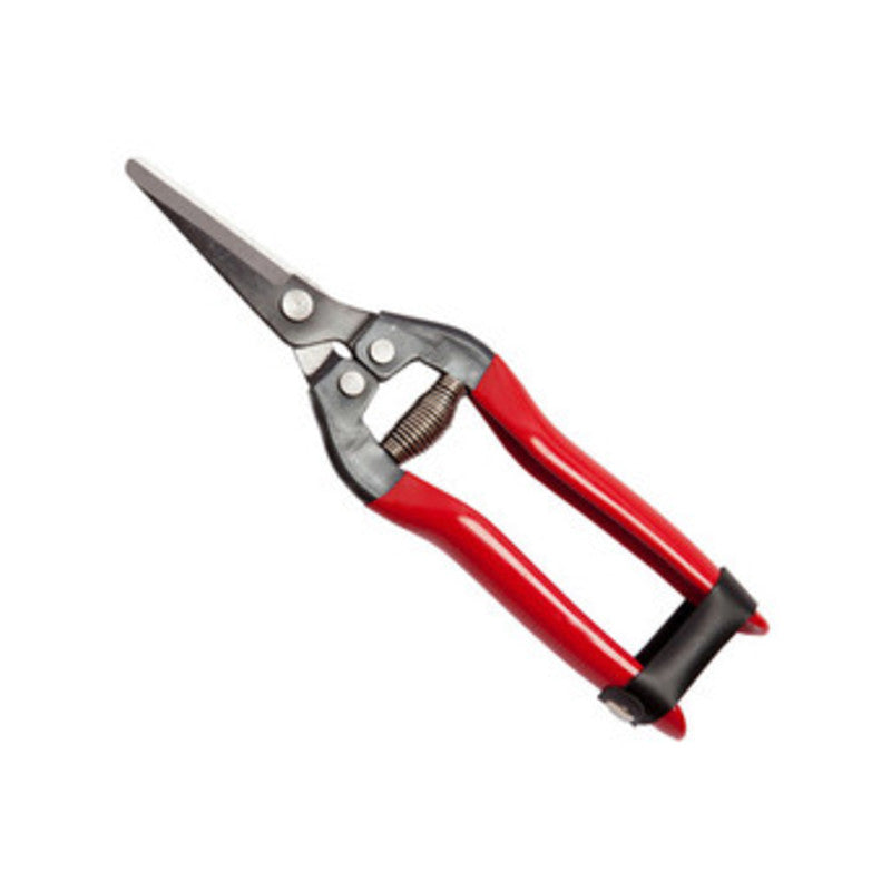 FORBICI P/UVA FALCI LAME DRITTE 19 CM- FALCI- 1,0 pz