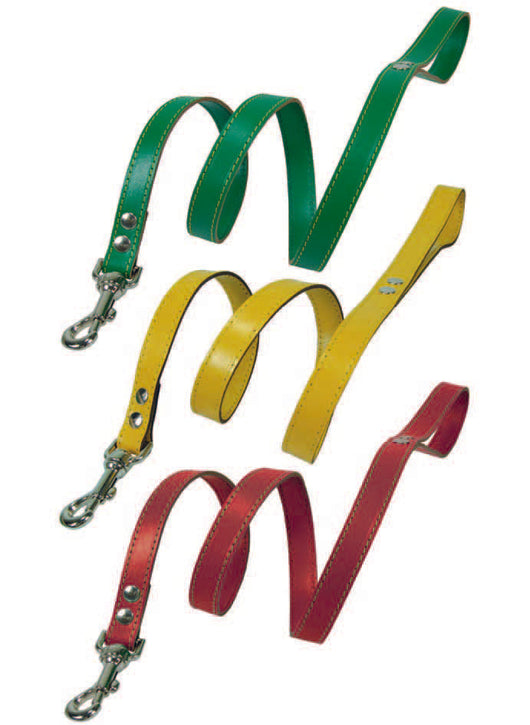 GUINZAGLIO PER CANI CUOIO CUCITO COLORATO- - cm.110x2 - 6 pezzi