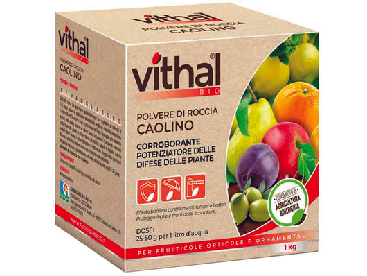 POLVERE DI ROCCIA CAOLINO VITHAL BIO  kg.1    VITHAL