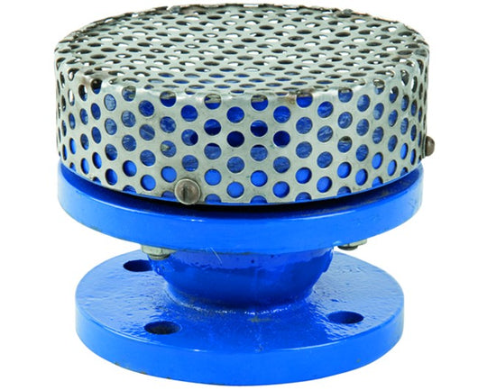 VALVOLA DI FONDO IN GHISA PN10 DN 50