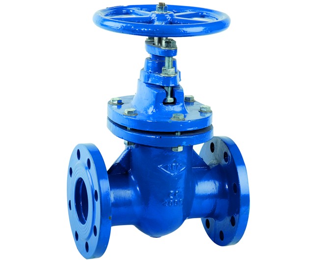 SARACINESCA IN GHISA CORPO OVALE PN16 DN100