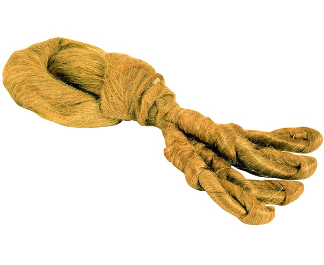 CANAPA PETTINATA A PESO   Idroweb