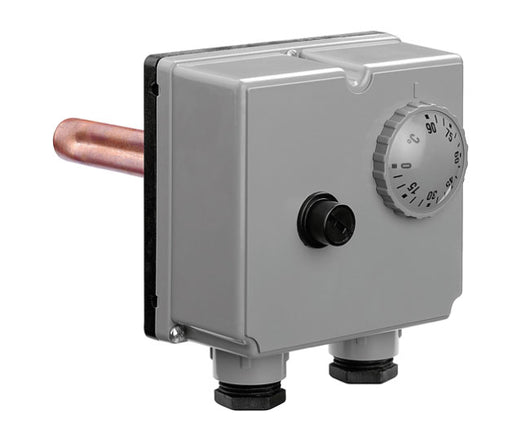 BITERMOSTATO AD IMMERSIONE 250V   CALEFFI SPA