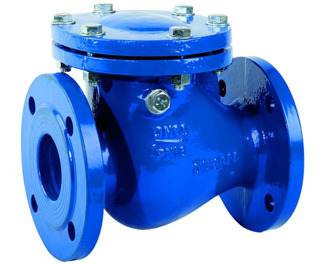 VALVOLA DI RITEGNO ORIZZONTALE IN GHISA PN16 DN50