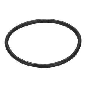 GUARNIZIONE O-RING 161 PER SEDE ESTRAIBILE    PUCCIPLAST Srl