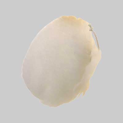 CUFFIA CON LACCIO DI CHIUSURA Ø 140 mm - PG PROFESSIONAL