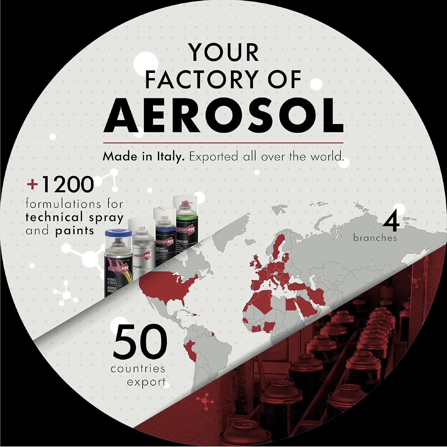 Ambro-Sol P301 Sciogli Silicone, Rimuove il Silicone e Relativi Residui senza Aggredire le Superfici e senza Opacizzarle, Agisce Rapidamente, Bomboletta Spray in Banda Stagnata Riciclabile 400 ml