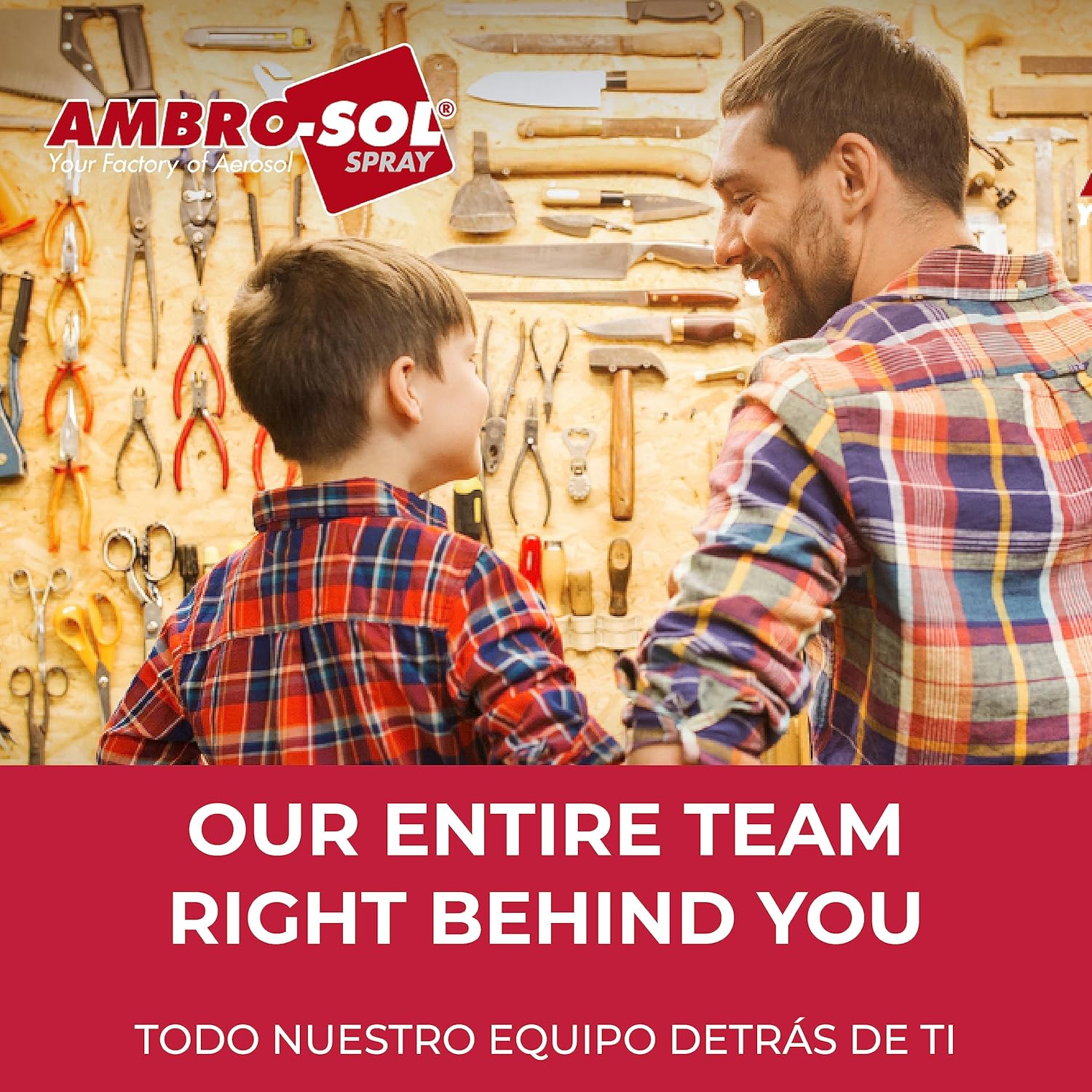 Ambro-Sol P301 Sciogli Silicone, Rimuove il Silicone e Relativi Residui senza Aggredire le Superfici e senza Opacizzarle, Agisce Rapidamente, Bomboletta Spray in Banda Stagnata Riciclabile 400 ml