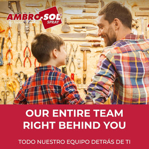 Ambro-Sol P301 Sciogli Silicone, Rimuove il Silicone e Relativi Residui senza Aggredire le Superfici e senza Opacizzarle, Agisce Rapidamente, Bomboletta Spray in Banda Stagnata Riciclabile 400 ml