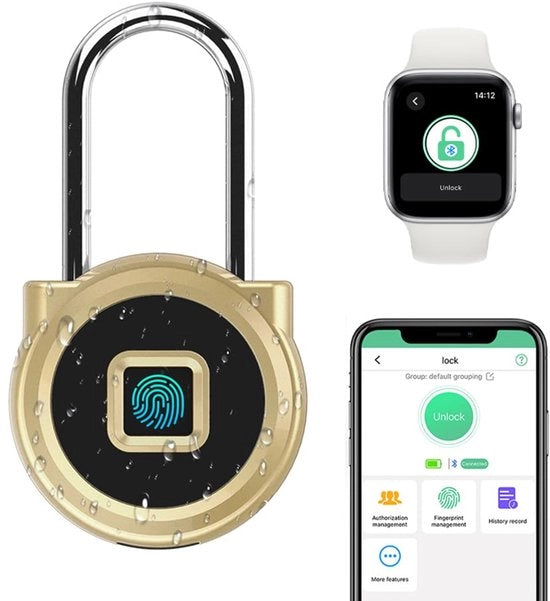 Hangslot con lunga maniglia, 45 mm, con rilevamento impronte digitali, applicazione cellulare, combinazione resistente all'acqua, non con chiave per armadi, cassetti, tende, cantine, esterni, dorato
