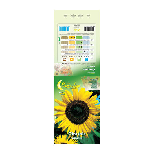 SEMI GARDEN GIRASOLE GIGANTE- 10,0 pz