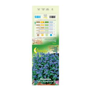 SEMI GARDEN MYOSOTIS- 10,0 pz