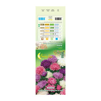 SEMI GARDEN ASTRO DELLA CINA- 10,0 pz
