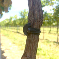 ANCORETTA ELASTICA PER LEGATURE 5 CM CONF 500 G- GENERAL PLASTICS- 1,0 confezione