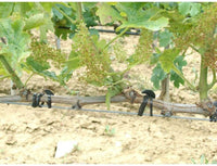 ANCORETTA ELASTICA PER LEGATURE 5 CM CONF 500 G- GENERAL PLASTICS- 1,0 confezione