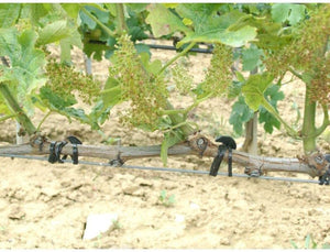 ANCORETTA ELASTICA PER LEGATURE 5 CM CONF 500 G- GENERAL PLASTICS- 1,0 confezione