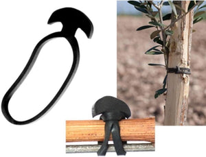 ANCORETTA ELASTICA PER LEGATURE 5 CM CONF 500 G- GENERAL PLASTICS- 1,0 confezione