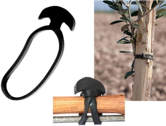 ANCORETTA ELASTICA PER LEGATURE 5 CM CONF 500 G- GENERAL PLASTICS- 1,0 confezione