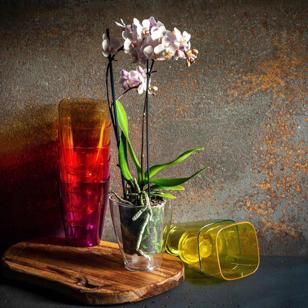 Vaso per orchidee KADAX in plastica arancione, 9 cm