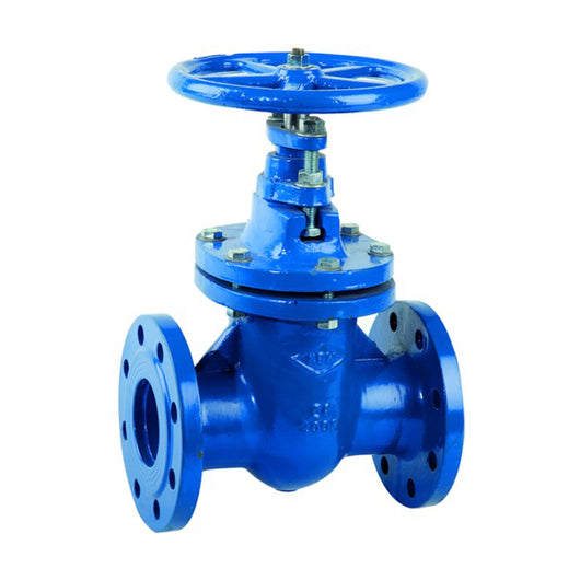 VALVOLA A SARACINESCA IN GHISA A CORPO OVALE SERIE GVF-45 PN16 - DN65  - ZEL