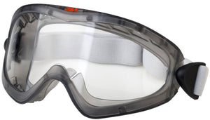 3M OCCHIALI DI PROTEZIONE A MASCHERA 10.00 paia