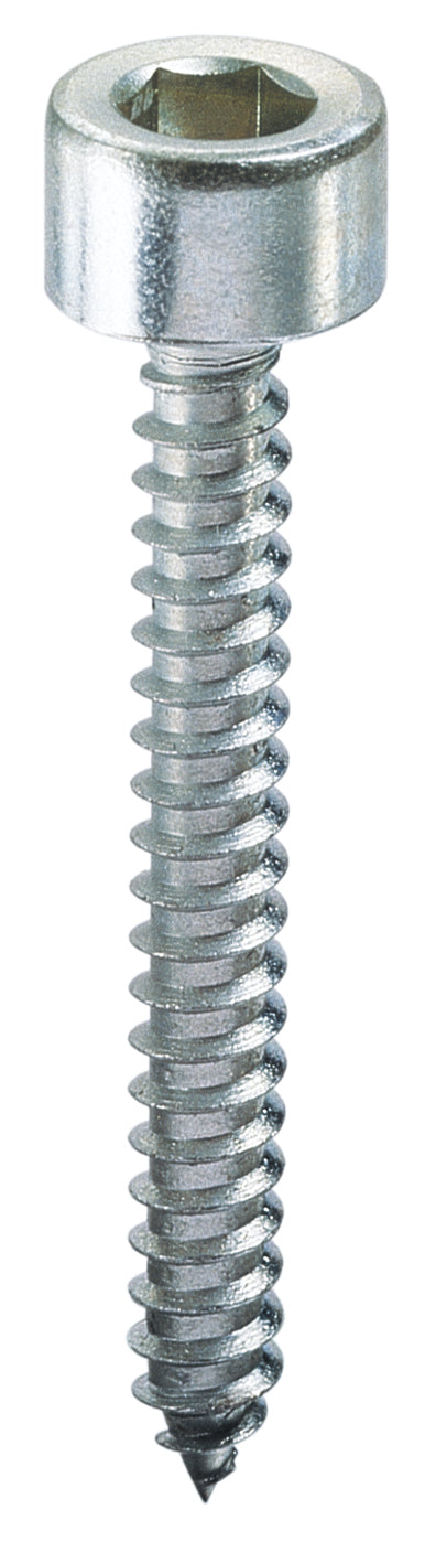 Ambrovit VITE AUTOFILETTANTE TC CON ESAGONO INCASSATO  mm. 5,5x32 5.00 centinaia