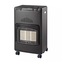 STUFA INFRAROSSI GPL MODELLO FLAMINIA - GRIGIA  4,2KW  - MAM