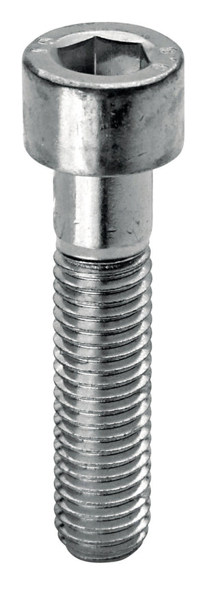 Ambrovit VITE IN ACCIAIO TC CON ESAGONO INCASSATO  M 6x20 mm. 50.00 decine