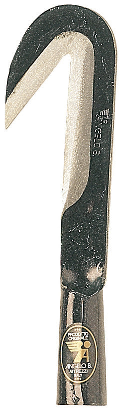 Angelo B. RONCOLINO PER ULIVI cm. 14