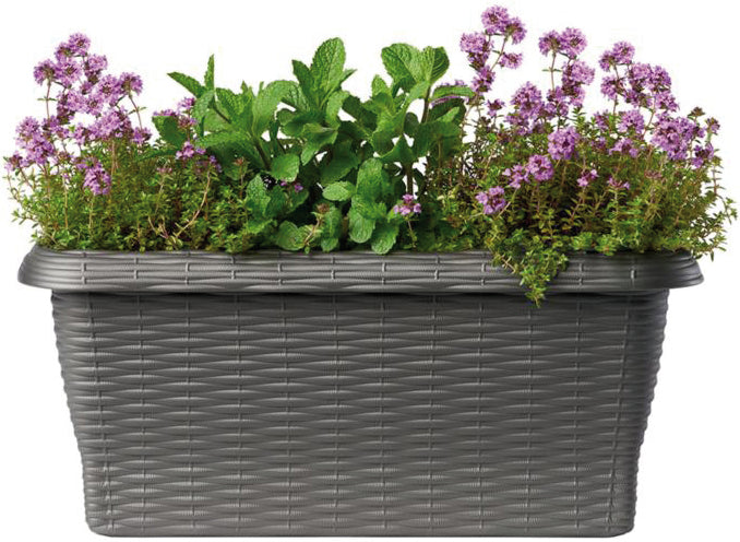 Bama FIORIERA RETTANGOLARE PAGLIA NORMAL Col. Antracite cm. 40x20x17,5 h