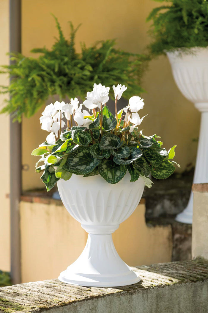 Bama VASO A CALICE ALBA Col. Bianco Ø cm. 43x46 h