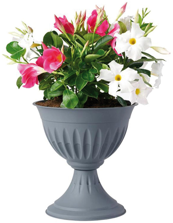 Bama VASO A CALICE ALBA Col. Grigio Ø cm. 43x46 h