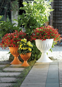 Bama VASO A CALICE ALBA Col. Terracotta Ø cm. 43x46 h