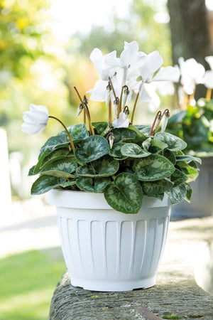 Bama VASO TONDO TERRA Col. Bianco Ø cm. 30x22 h